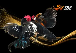 SV388 Cockfight