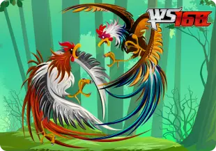WS168