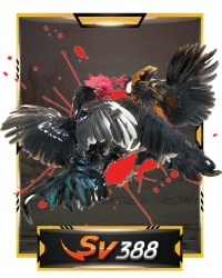 SV388 Cockfight